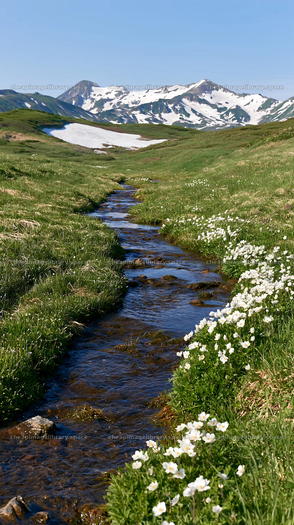 High contrast meadow with watercourse and snow-capped mountains – image library 5938x10608