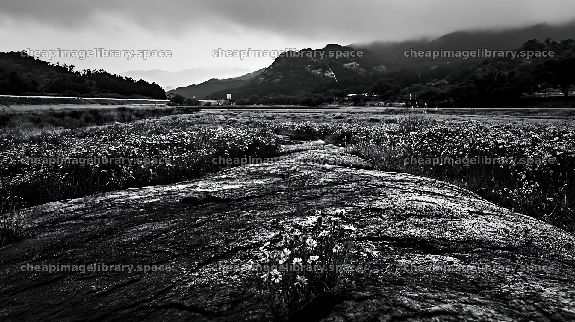 Hiroshima rainy meadow smooth rock foreground – image library 10608x5938