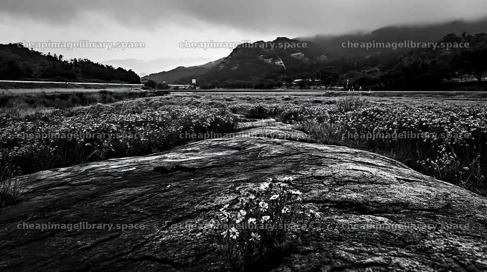 Hiroshima rainy meadow smooth rock foreground – image library 10608x5938