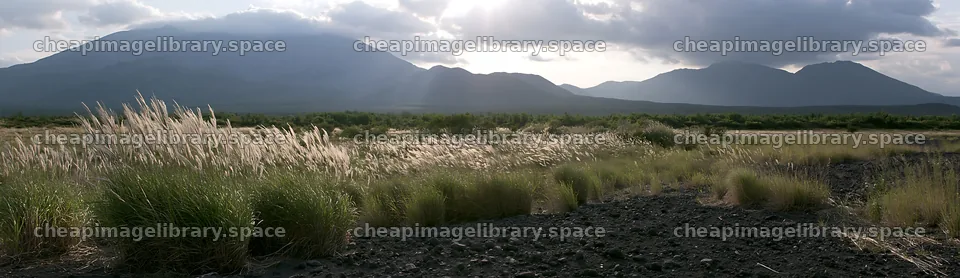 Kagoshima volcanic meadow with pumice foreground and distant – image library 14762x4268