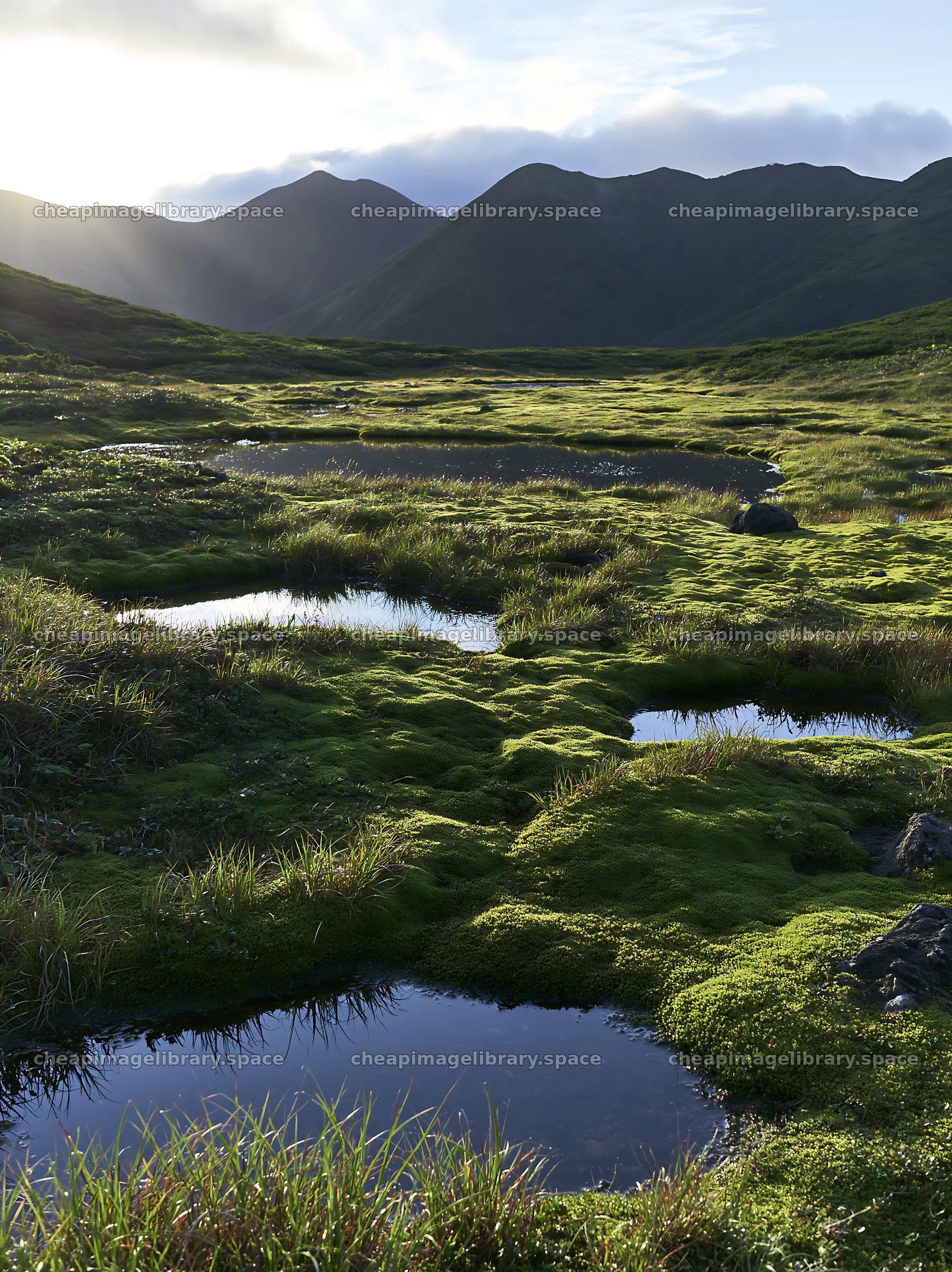 Daisetsuzan alpine meadow with light rays shining on wet grass – image library 6866x9174