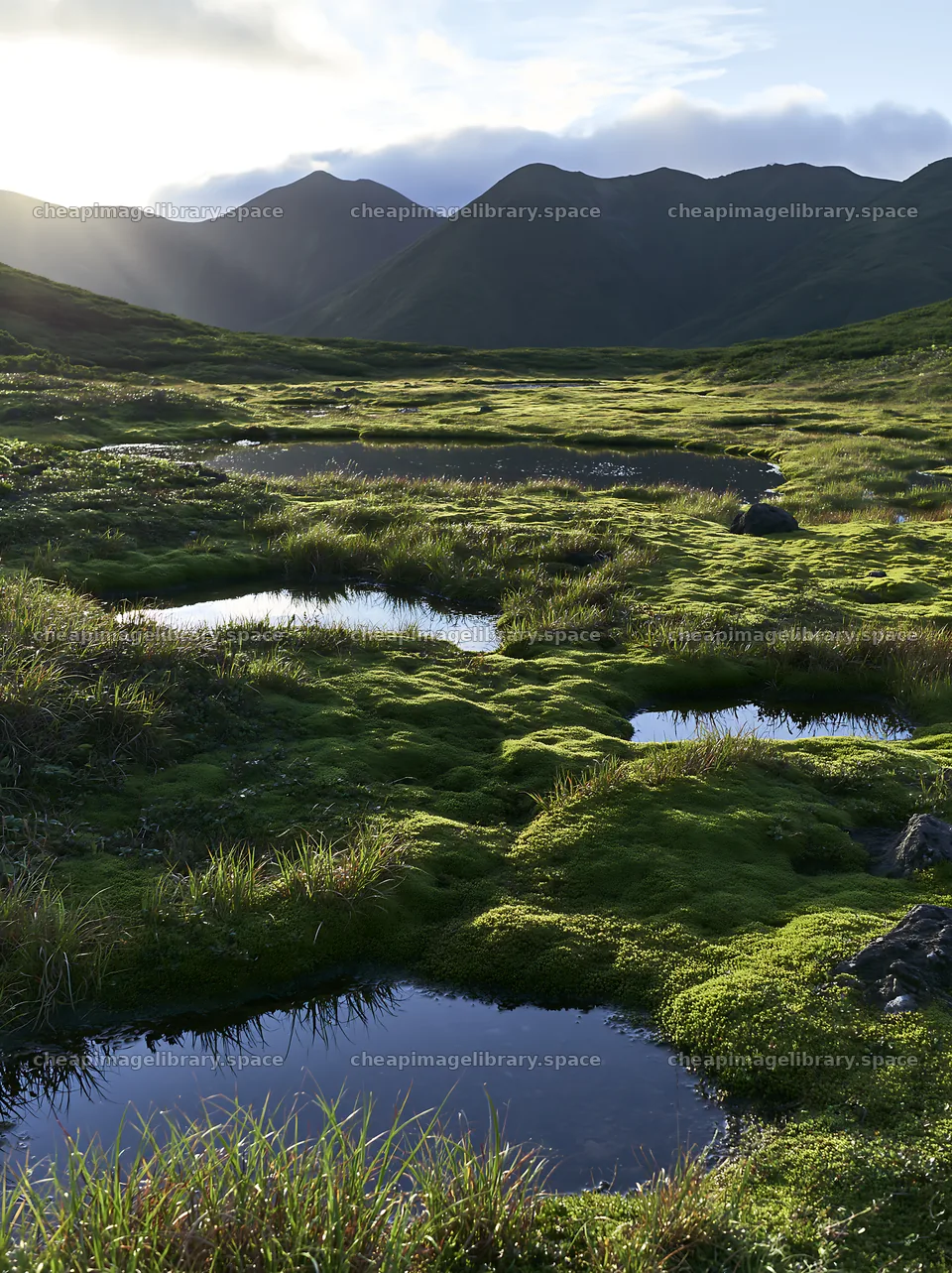 Daisetsuzan alpine meadow with light rays shining on wet grass – image library 6866x9174