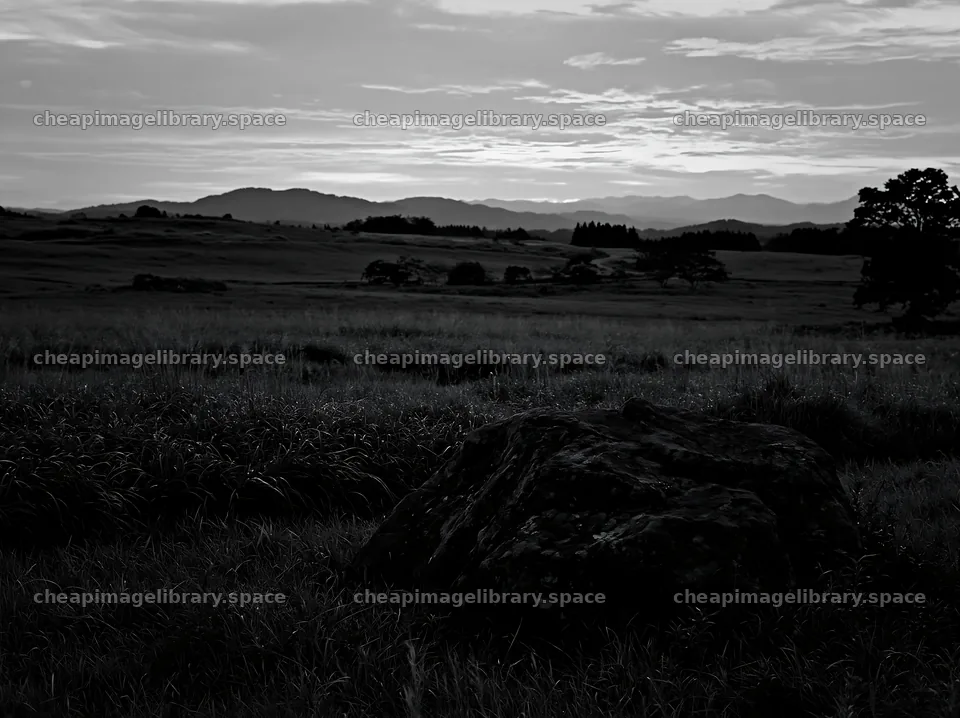 Aomori climate resilient meadow with boulder at dusk – image library 9174x6866
