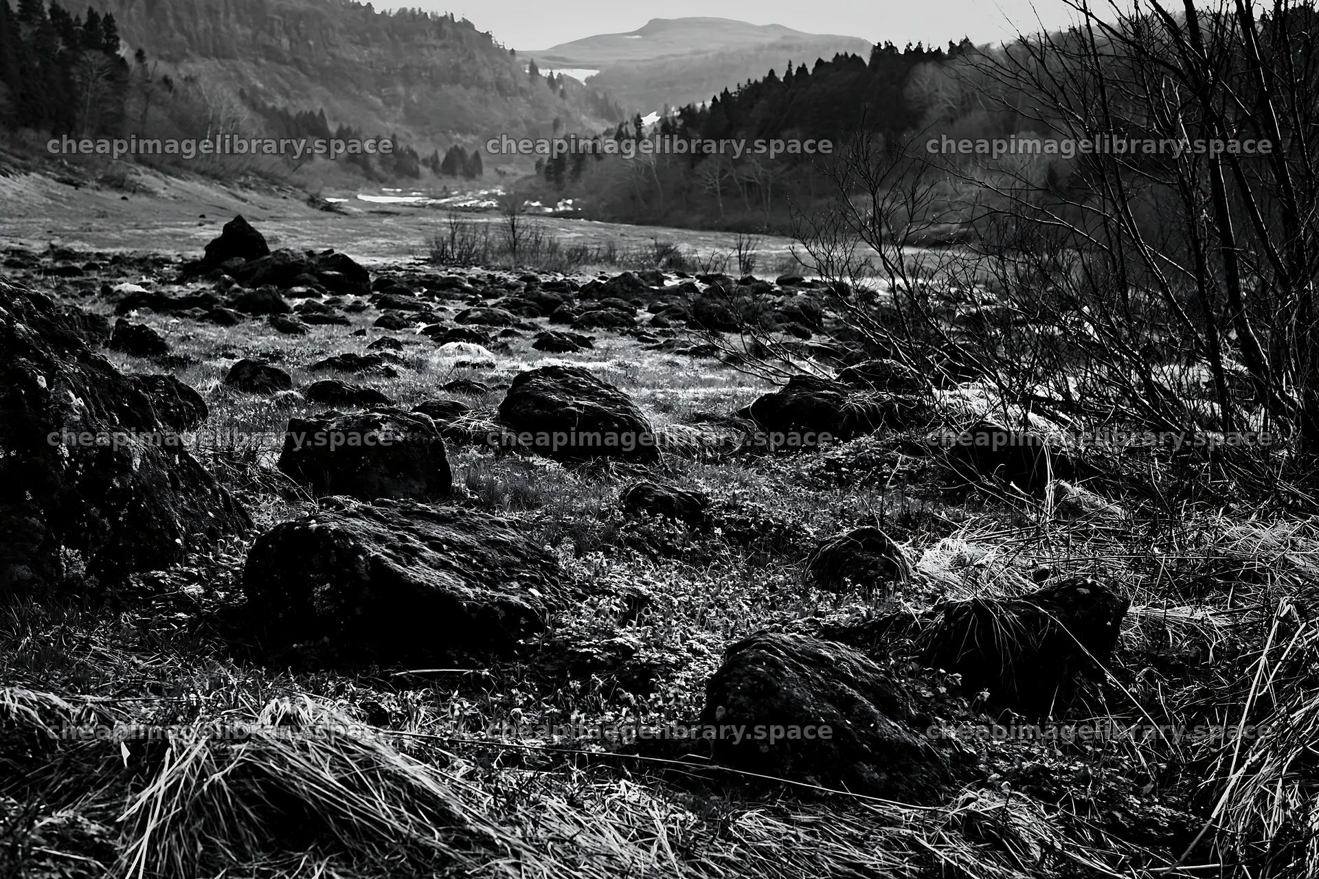 Miyagi spring recovery meadow mossy stone with rocky terrain – image library 9722x6480