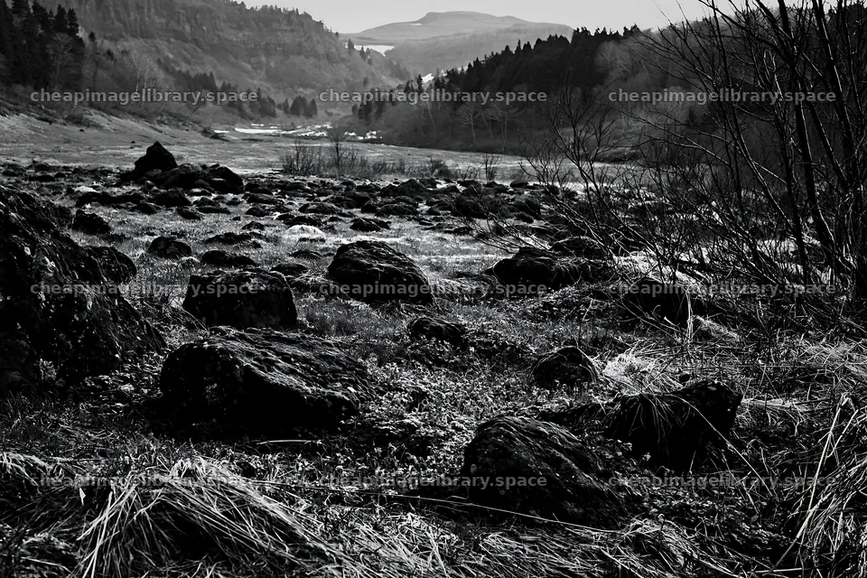 Miyagi spring recovery meadow mossy stone with rocky terrain – image library 9722x6480
