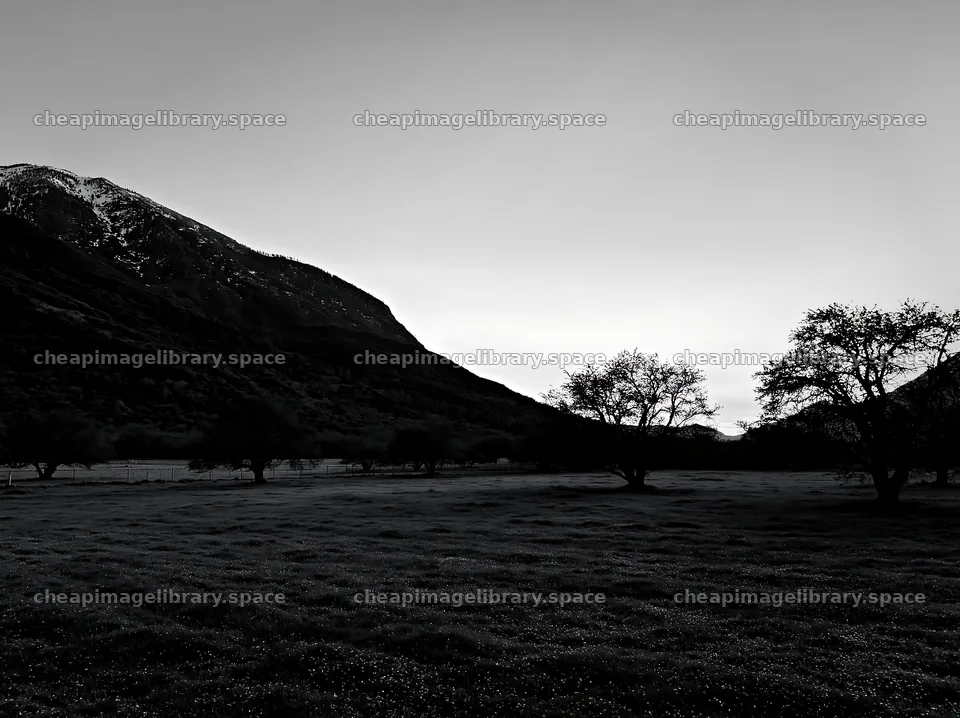 Valley apple meadow with mountains and sunset sky – image library 9174x6866