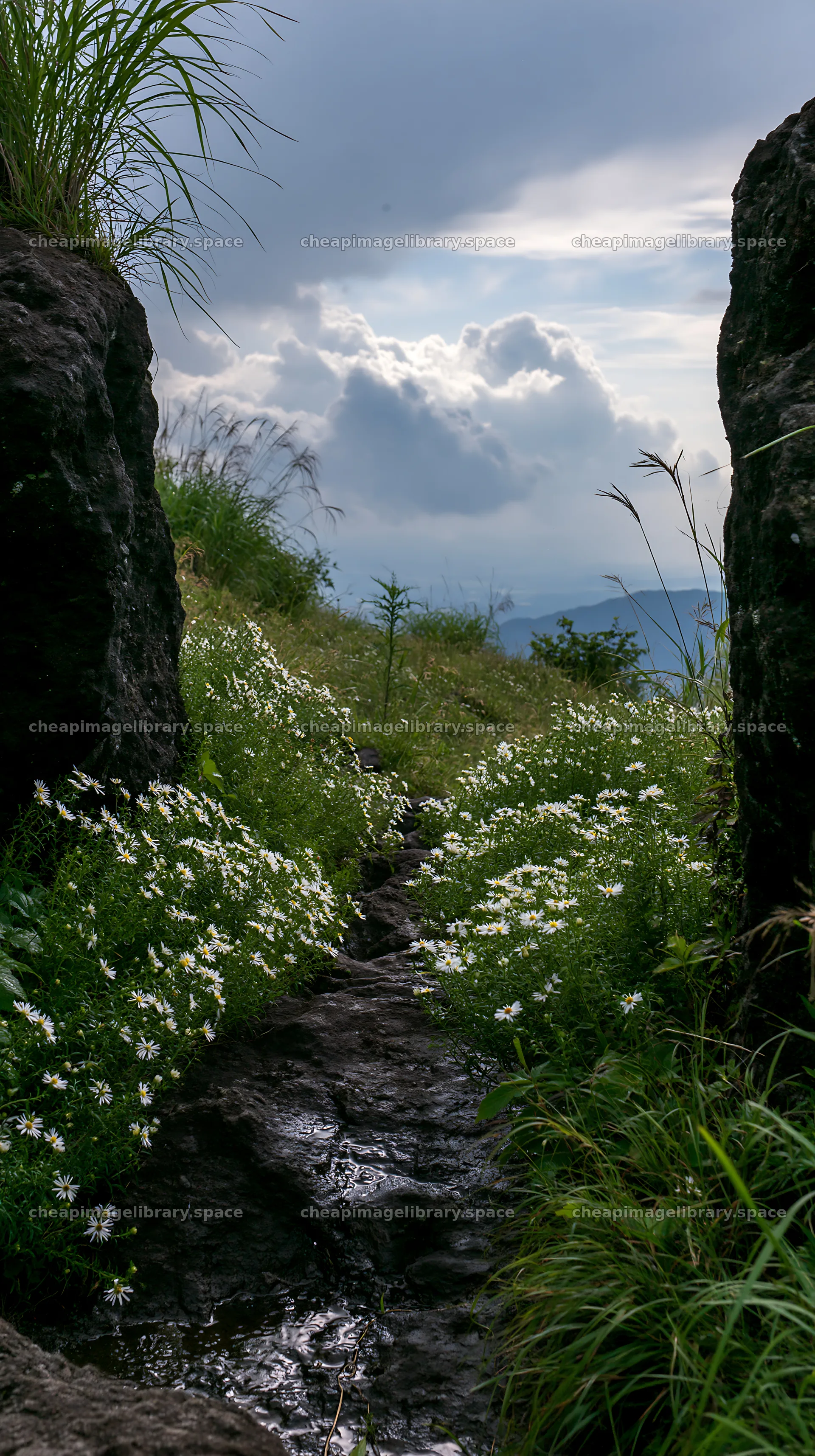 Oita highland meadow with granite stones and flowers – image library 5938x10608