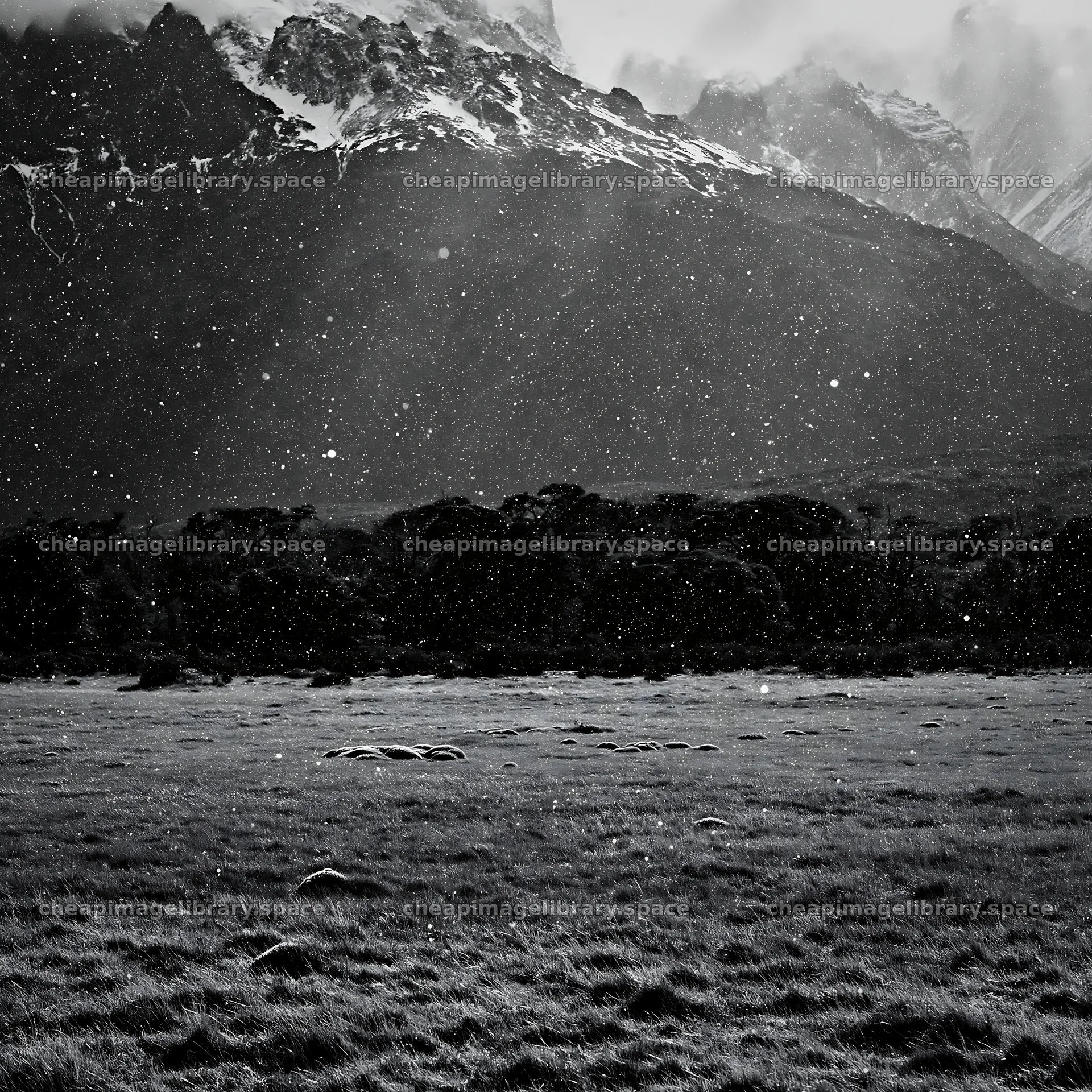 Torres del Paine meadow snow with mountains in the background – image library 7938x7938