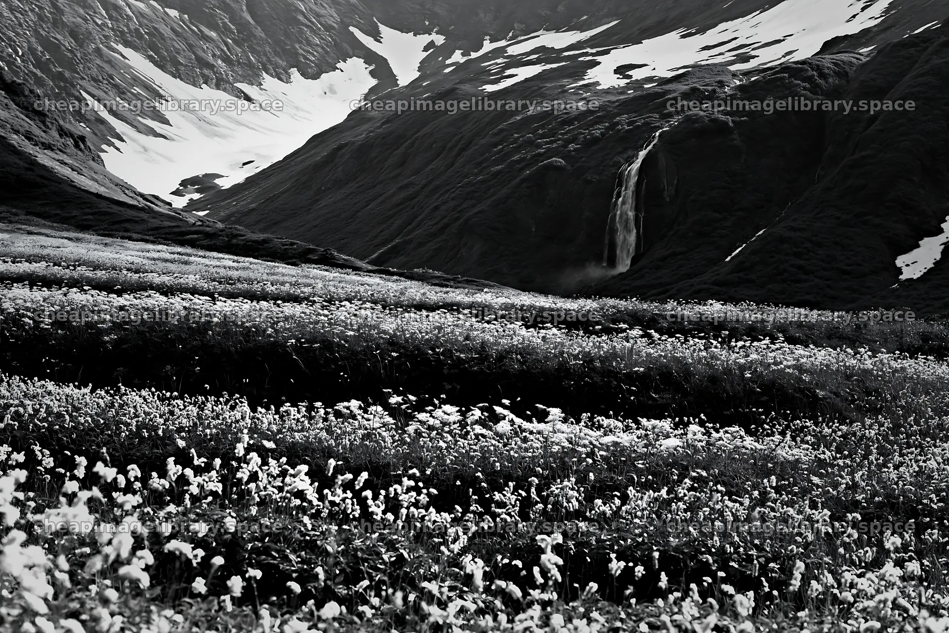 Mountain flower meadow with waterfall in black and white – image library 9722x6480