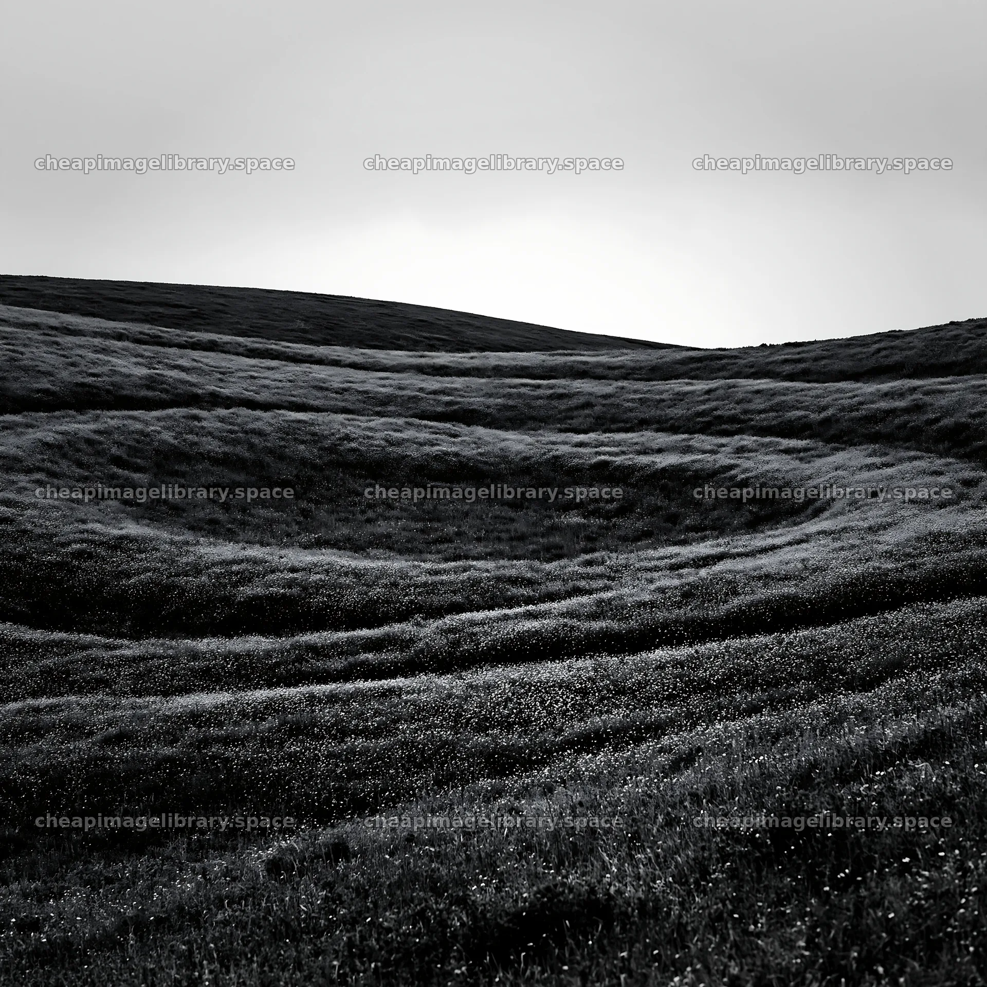 Cloudy foothill meadow with rolling grassy hills – image library 7938x7938
