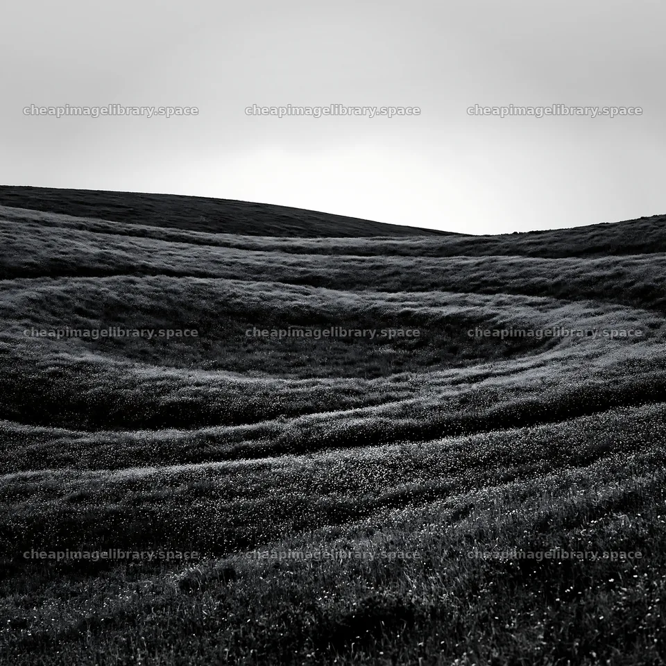 Cloudy foothill meadow with rolling grassy hills – image library 7938x7938