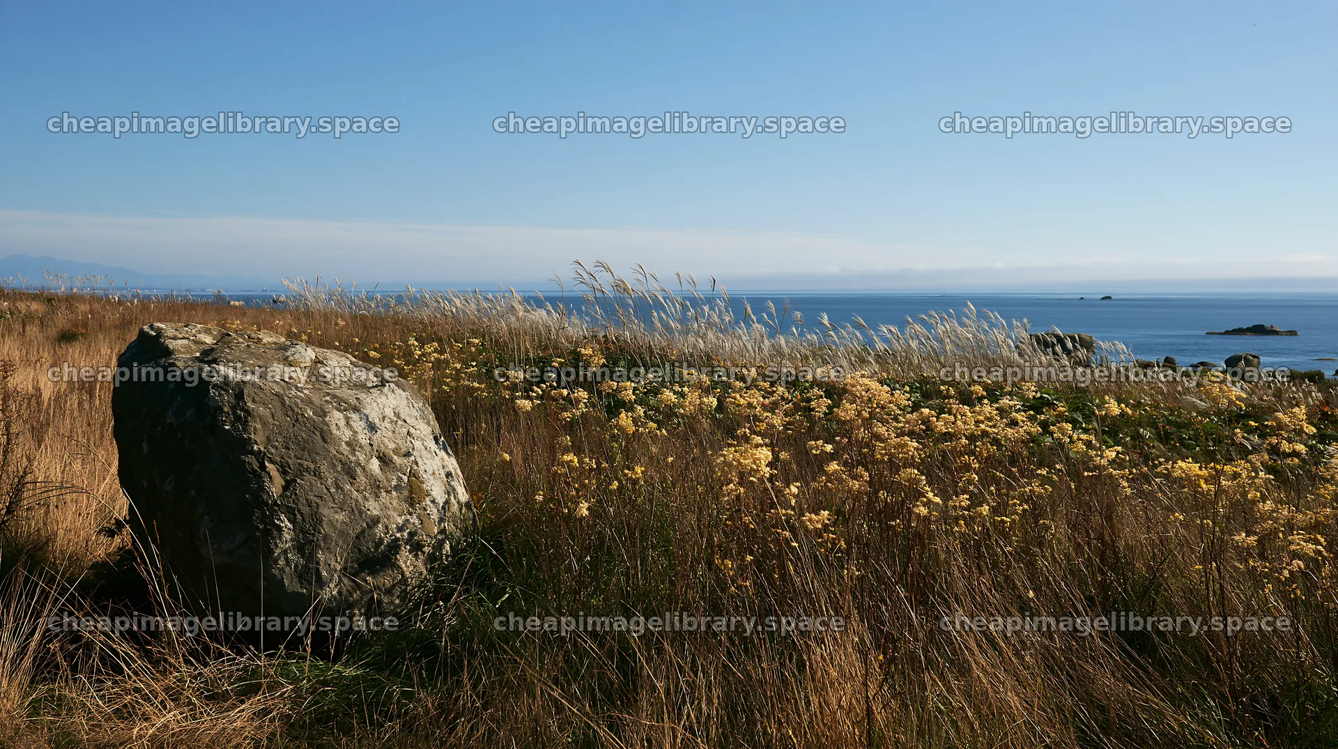 Aomori climate resilient meadow with boulder under clear sky – image library 10608x5938