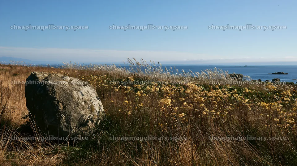 Aomori climate resilient meadow with boulder under clear sky – image library 10608x5938