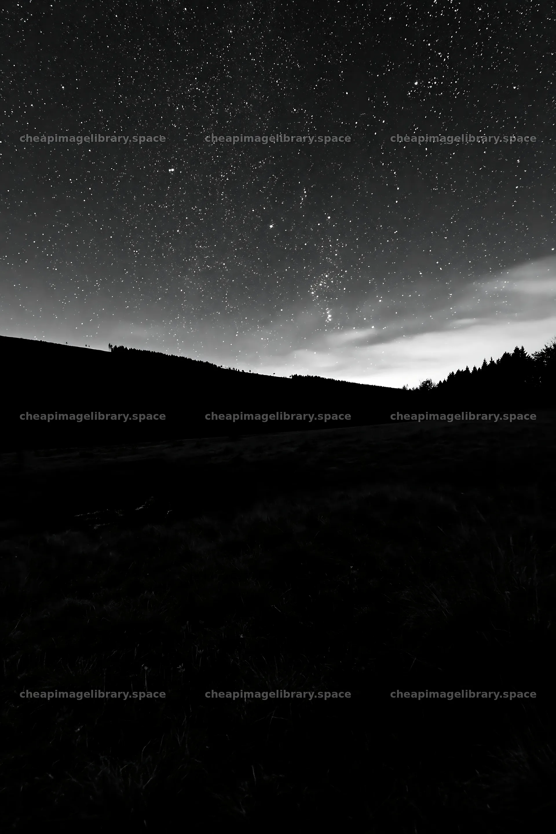 Night sky over dark meadow – image library 6480x9722