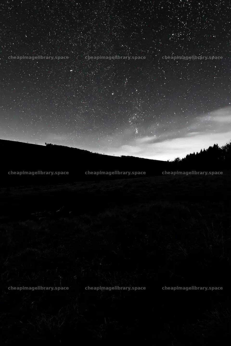 Night sky over dark meadow – image library 6480x9722