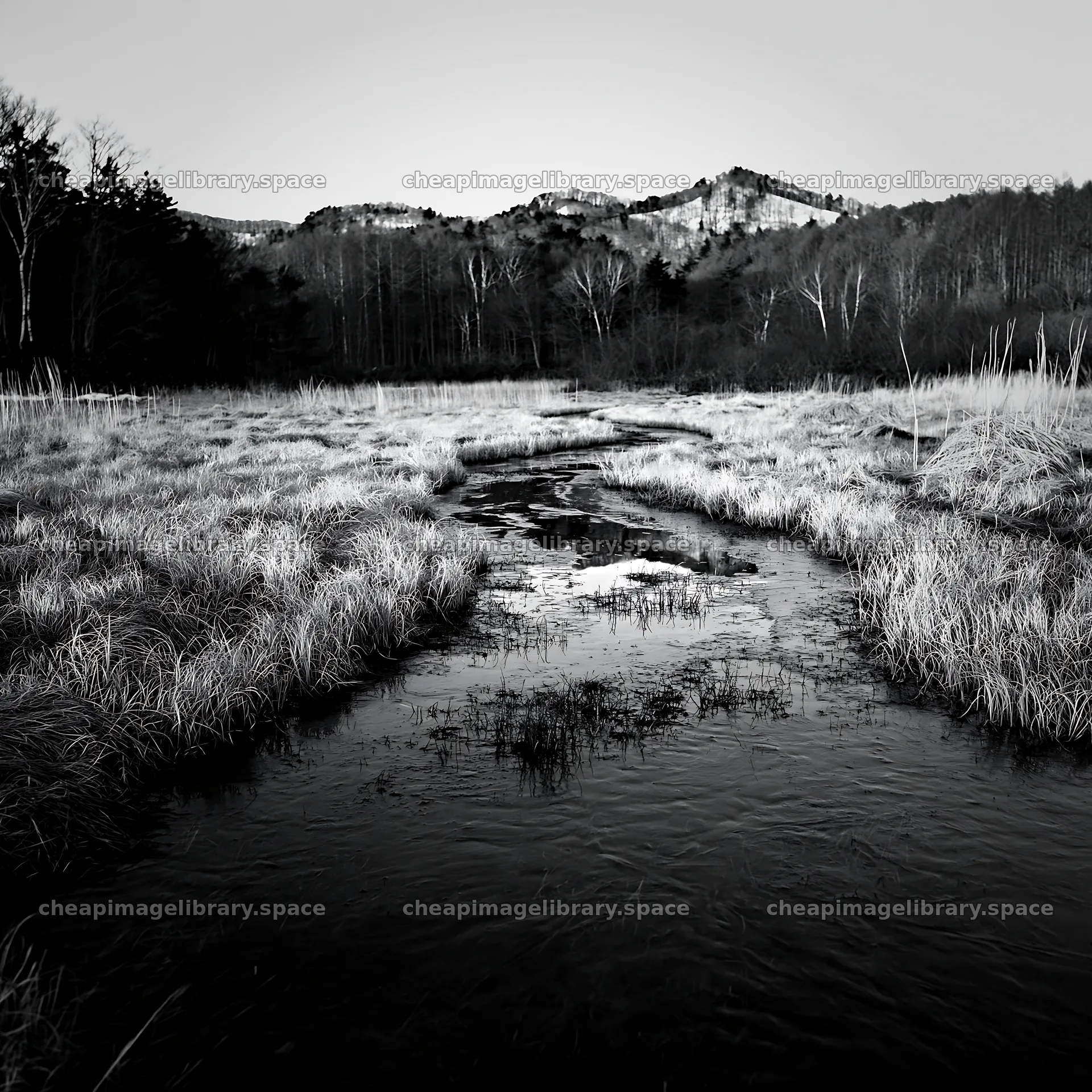 Akita snowmelt meadow with silver grasses – image library 7938x7938