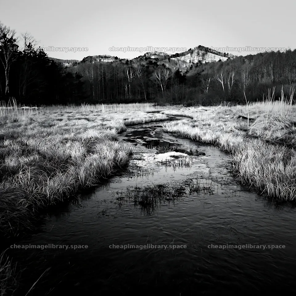 Akita snowmelt meadow with silver grasses – image library 7938x7938