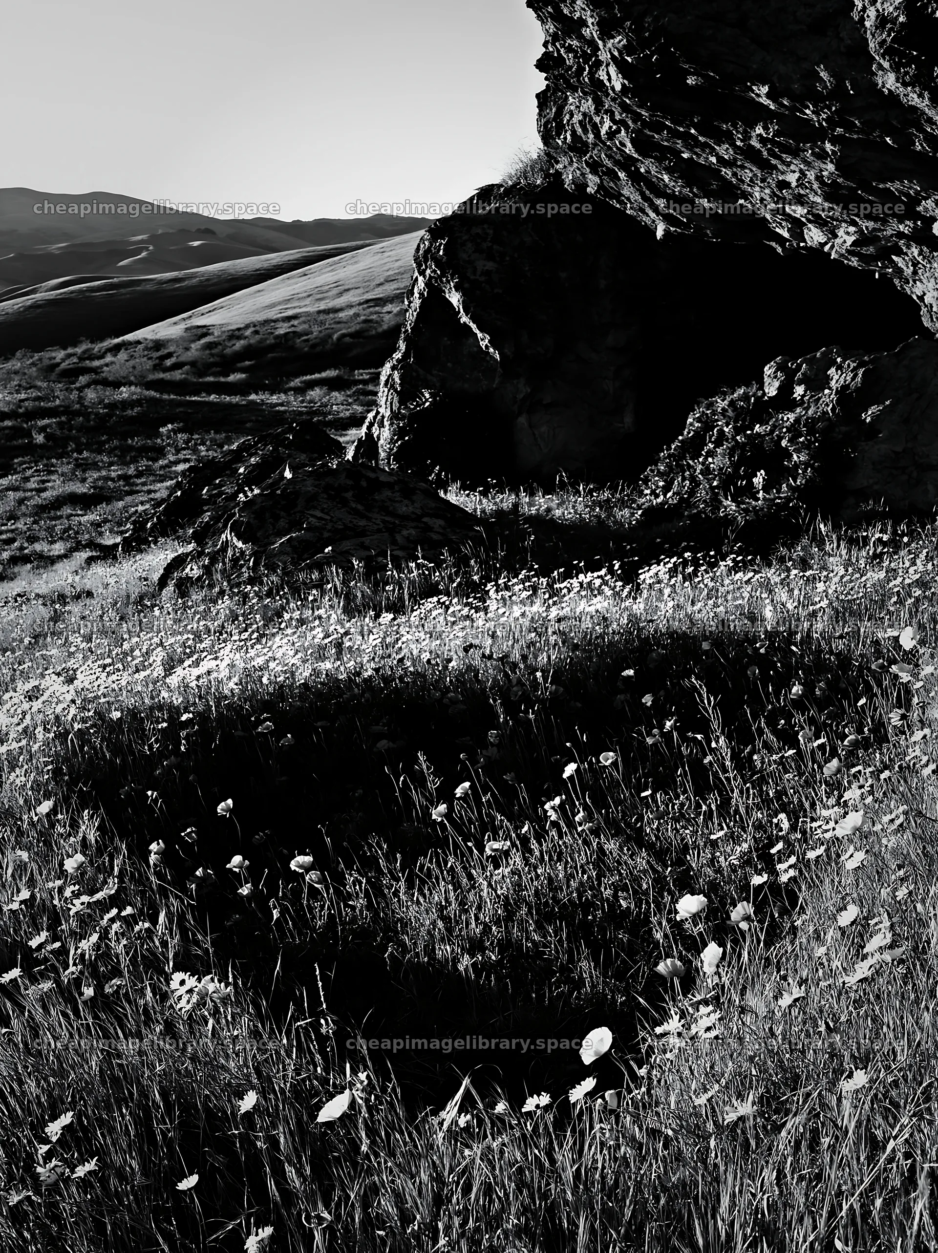 Christmas wreaths near cave in meadow – image library 6866x9174