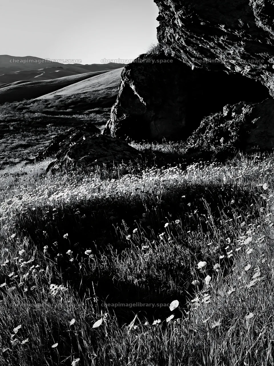 Christmas wreaths near cave in meadow – image library 6866x9174