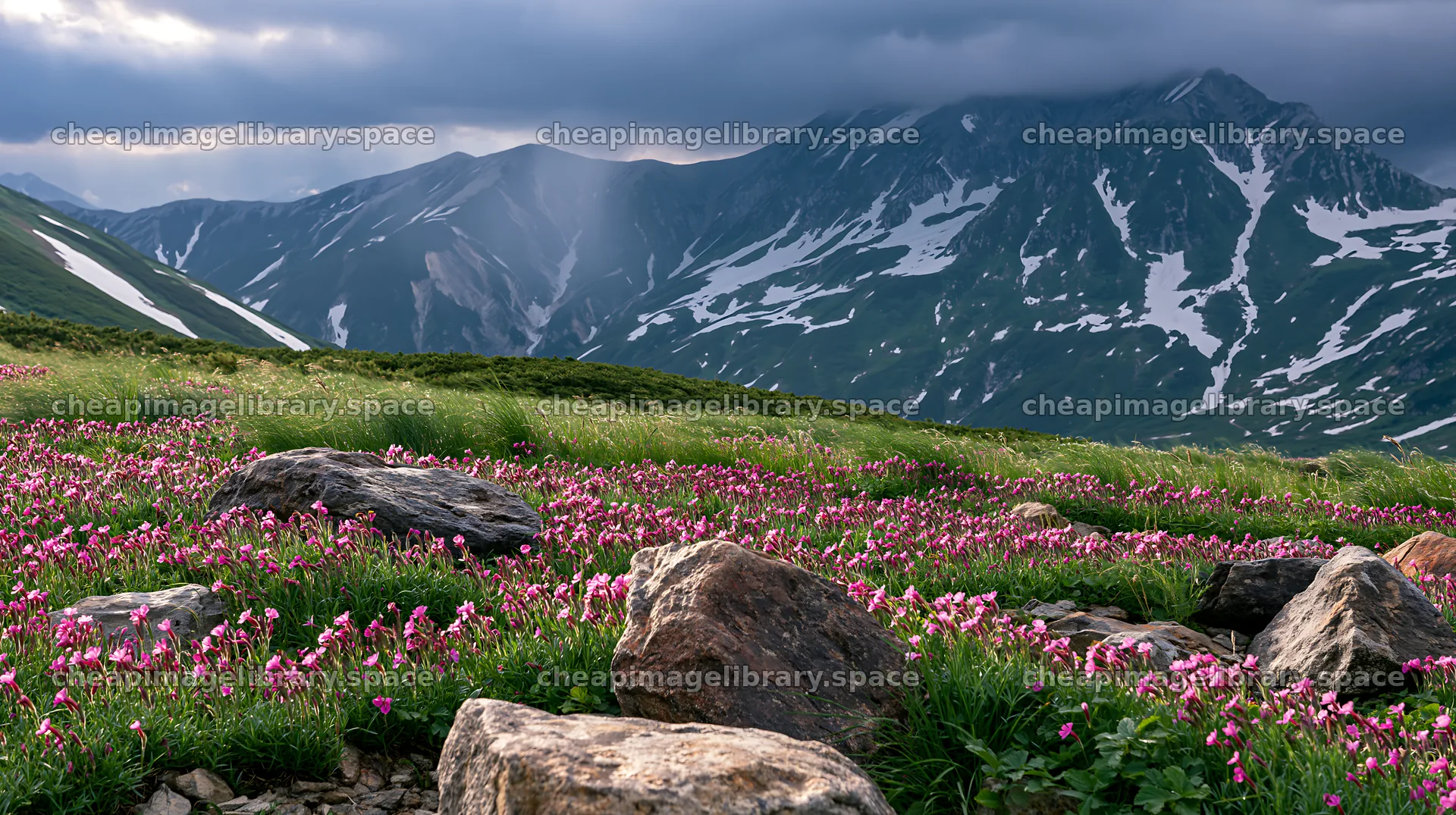 Alpine meadow with snowmelt and rocks in Toyama – image library 10608x5938