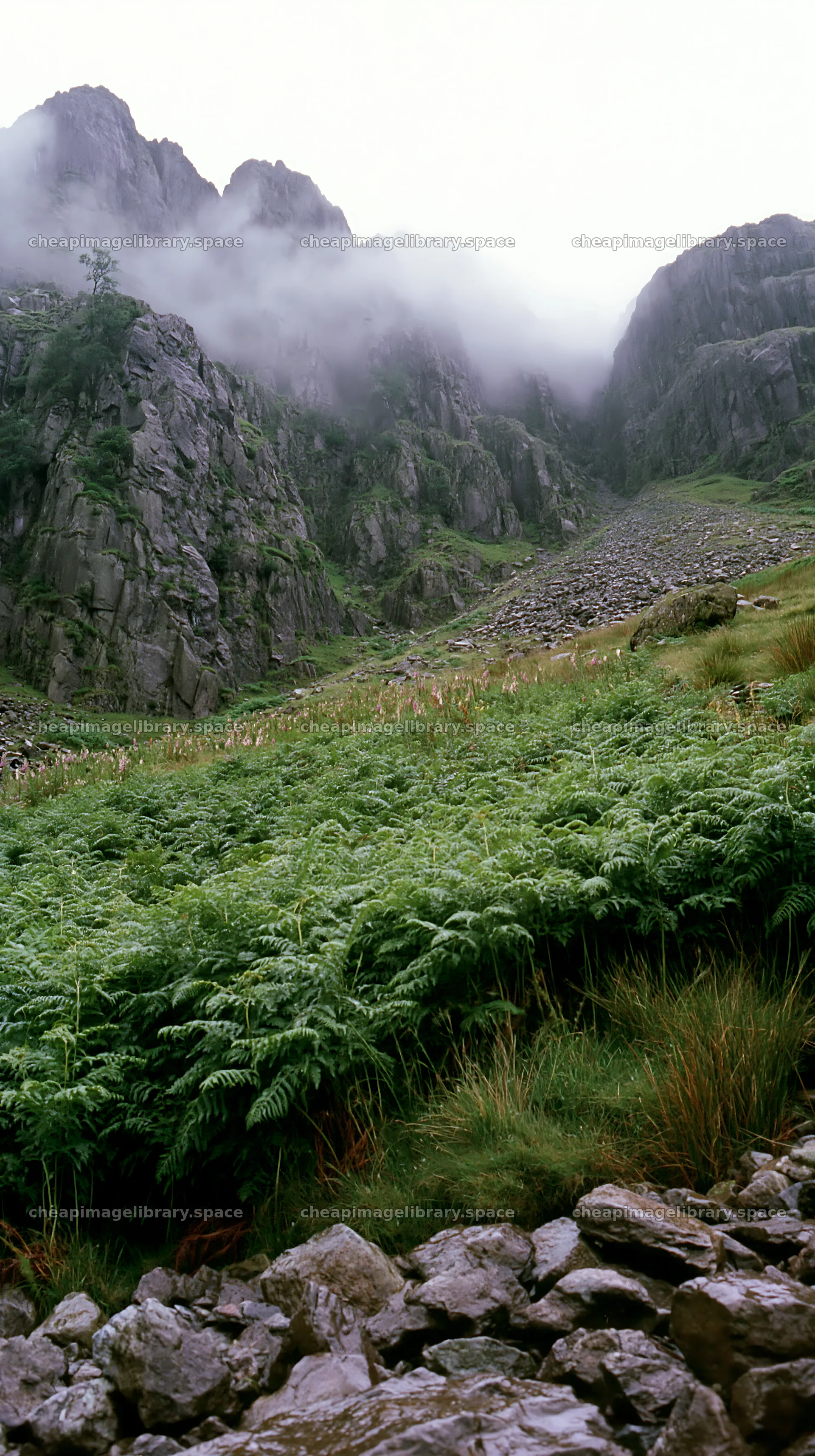 Meadow beneath crags with rocky terrain and fog – image library 5938x10608