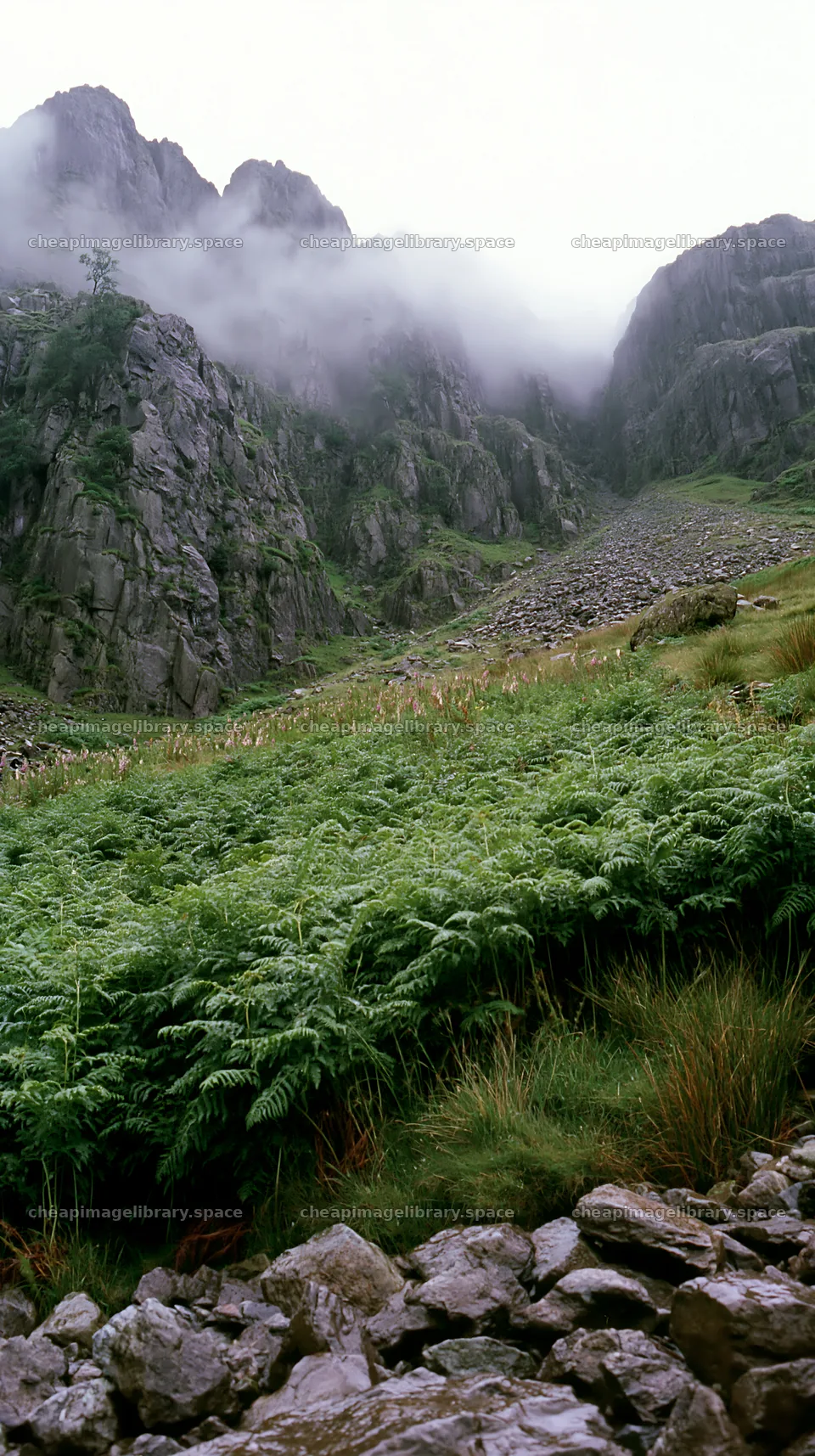 Meadow beneath crags with rocky terrain and fog – image library 5938x10608