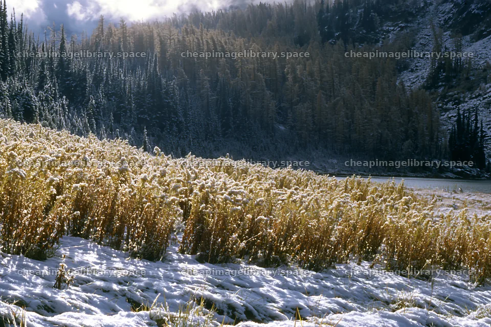 Lakeside meadow covered in snow after the first snowfall – image library 9722x6480
