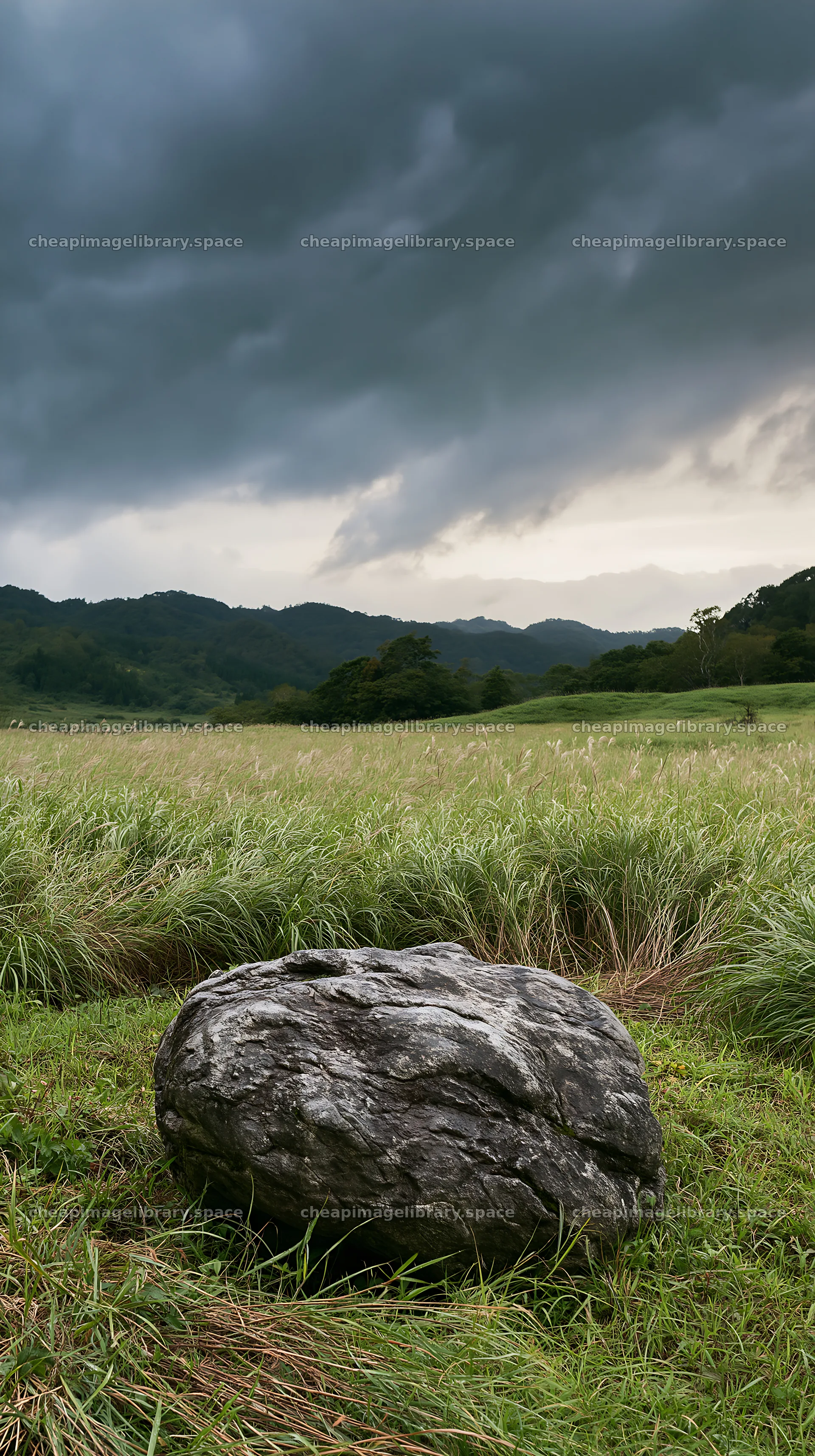 Aomori climate resilient meadow with boulder – image library 5938x10608