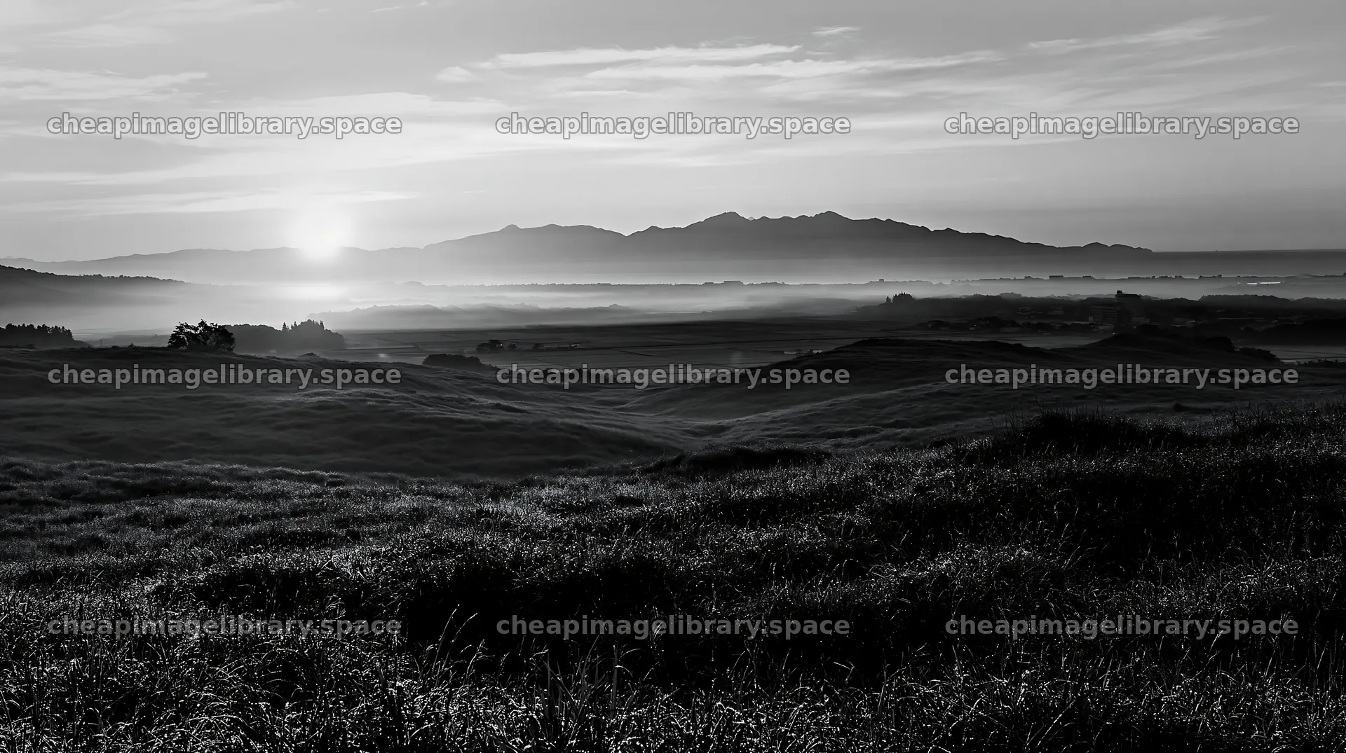 Miyazaki sunrise meadow dew covered sedges create a bright scene – image library 10608x5938