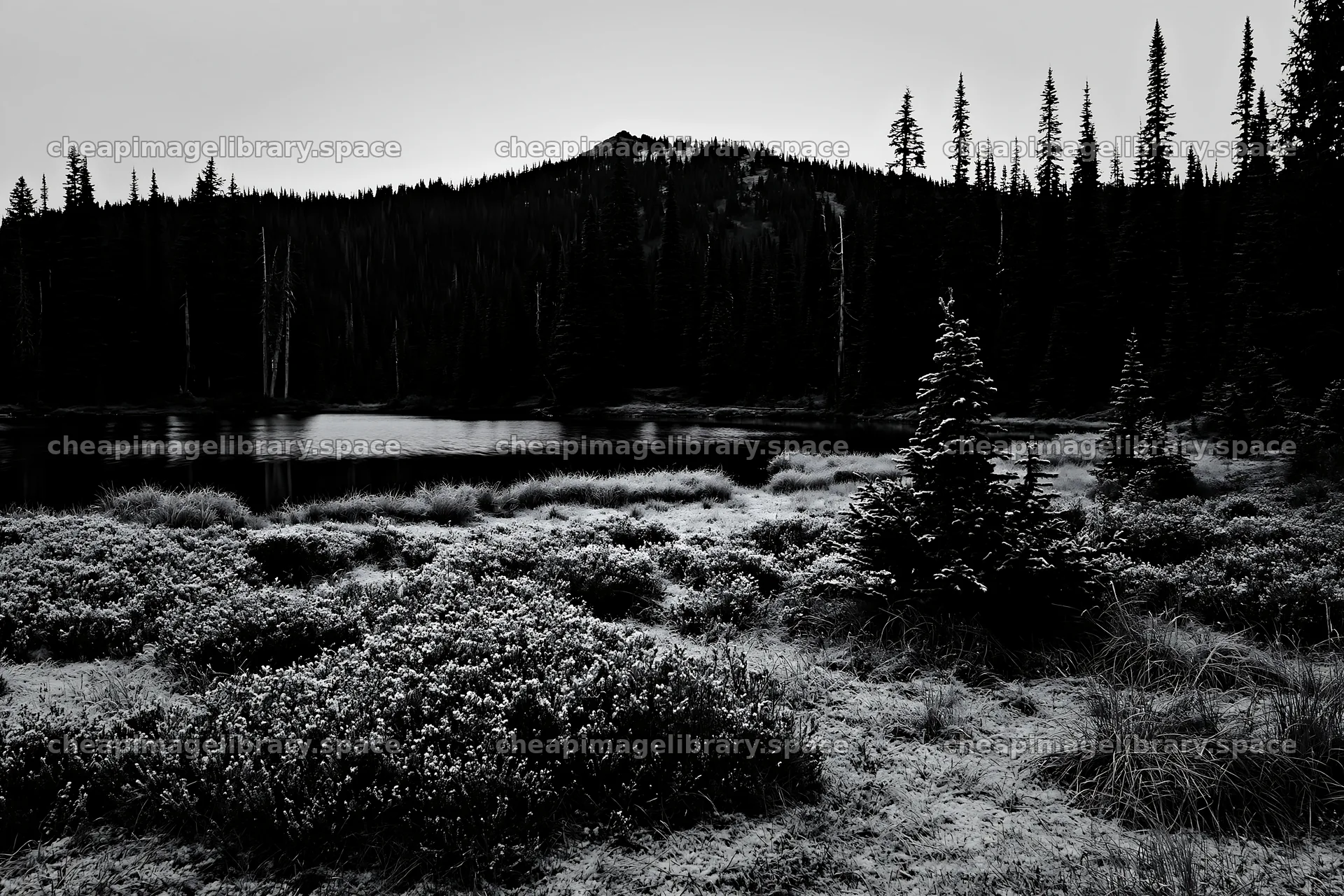 Lakeside meadow covered in snow during winter – image library 9722x6480