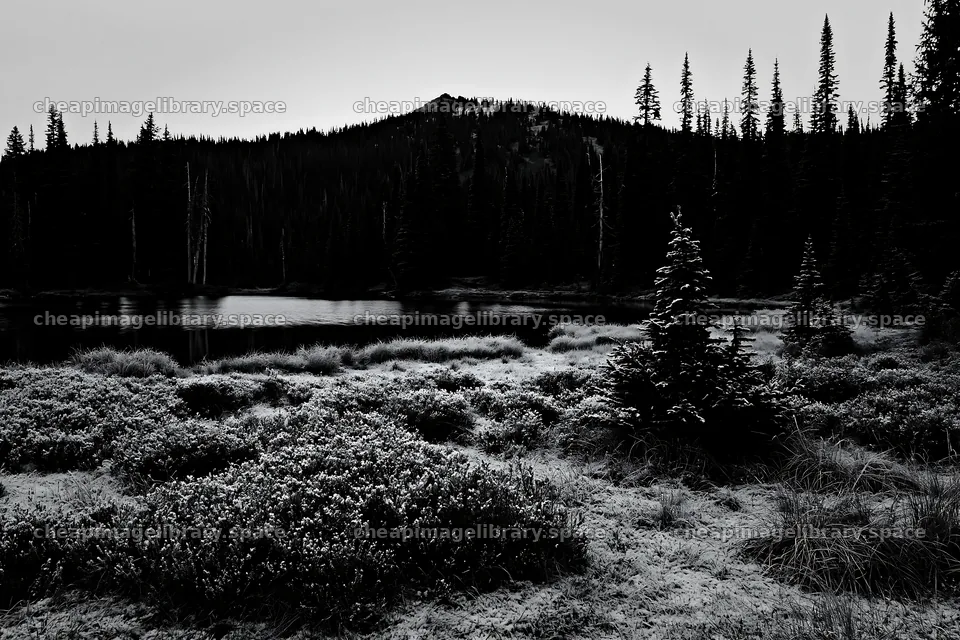 Lakeside meadow covered in snow during winter – image library 9722x6480
