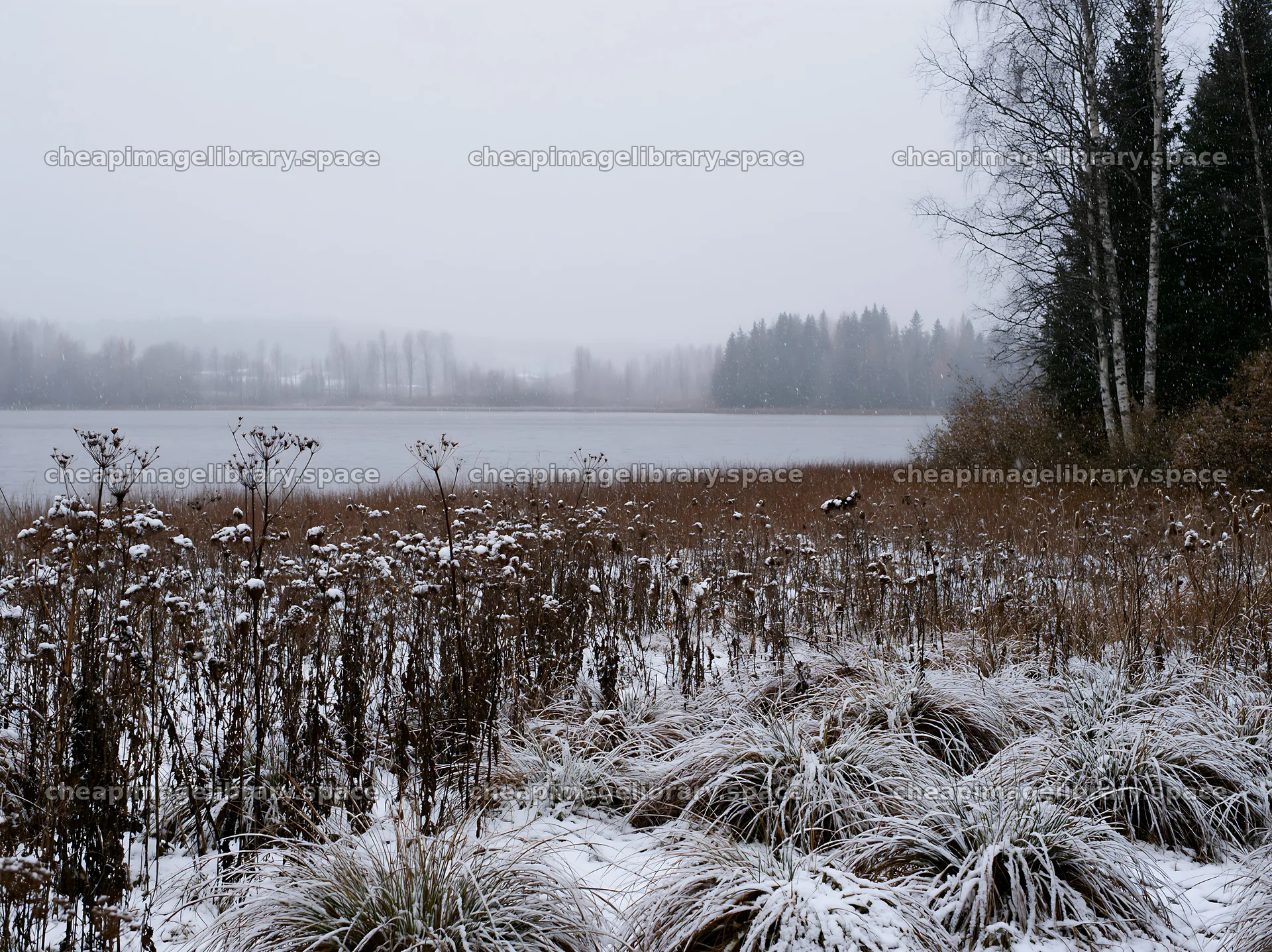 Lakeside meadow after first snowfall in a winter landscape – image library 9174x6866