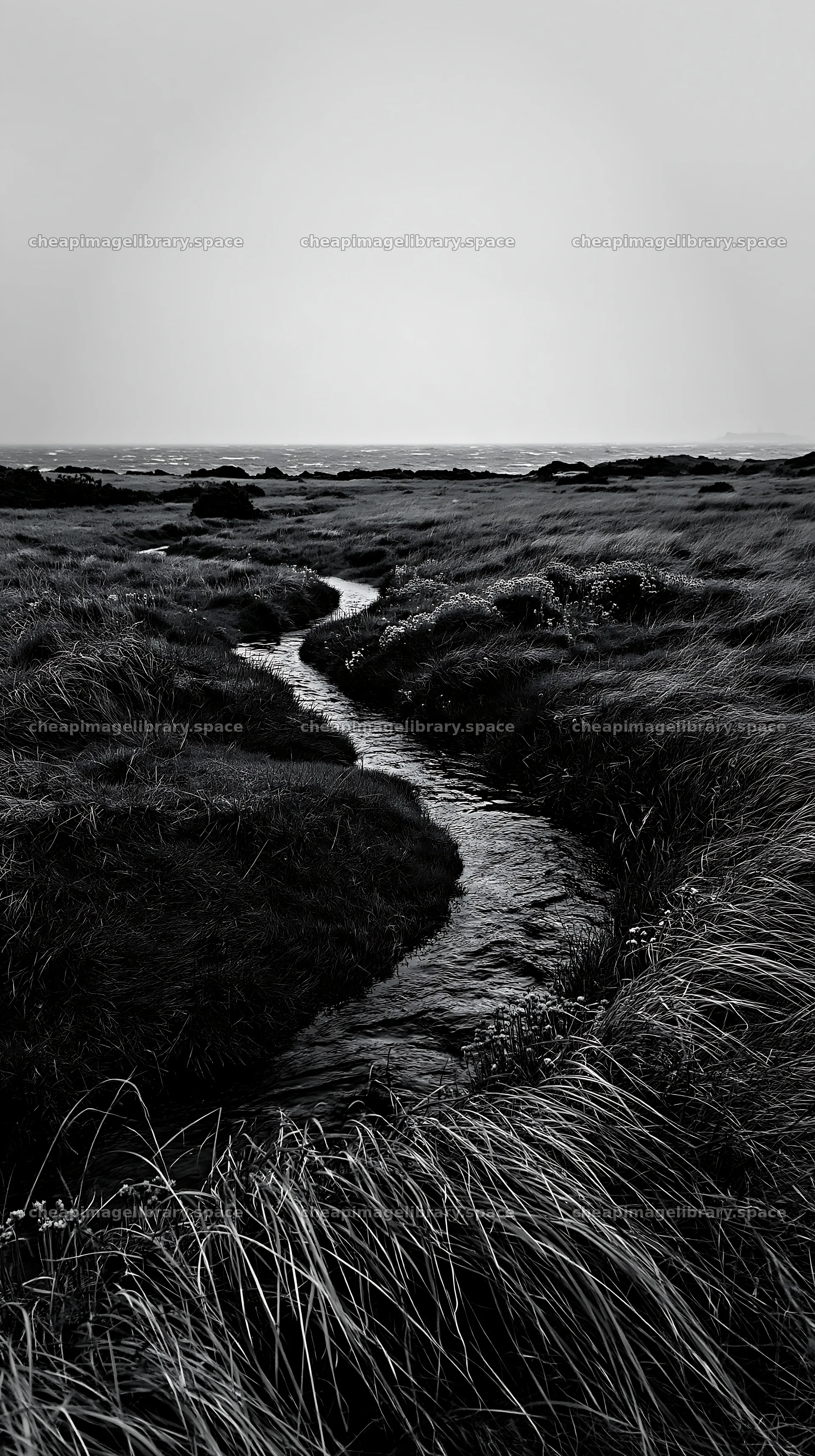 High contrast winding stream through meadow landscape – image library 5938x10608
