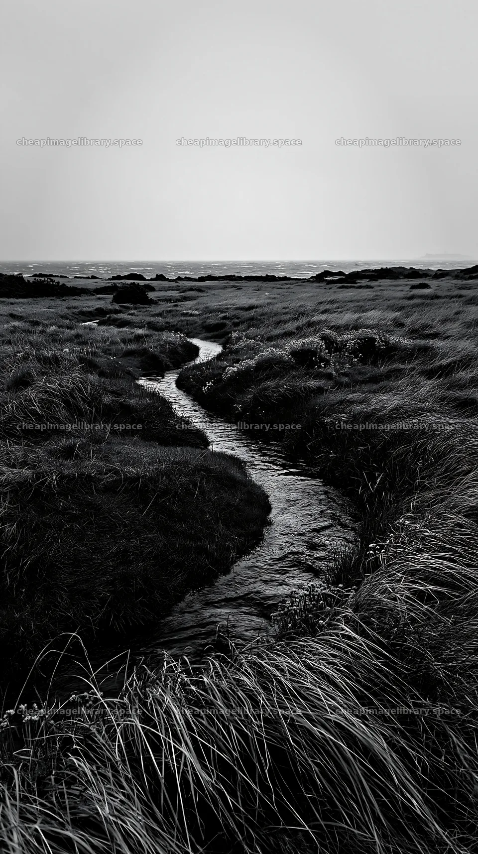 High contrast winding stream through meadow landscape – image library 5938x10608