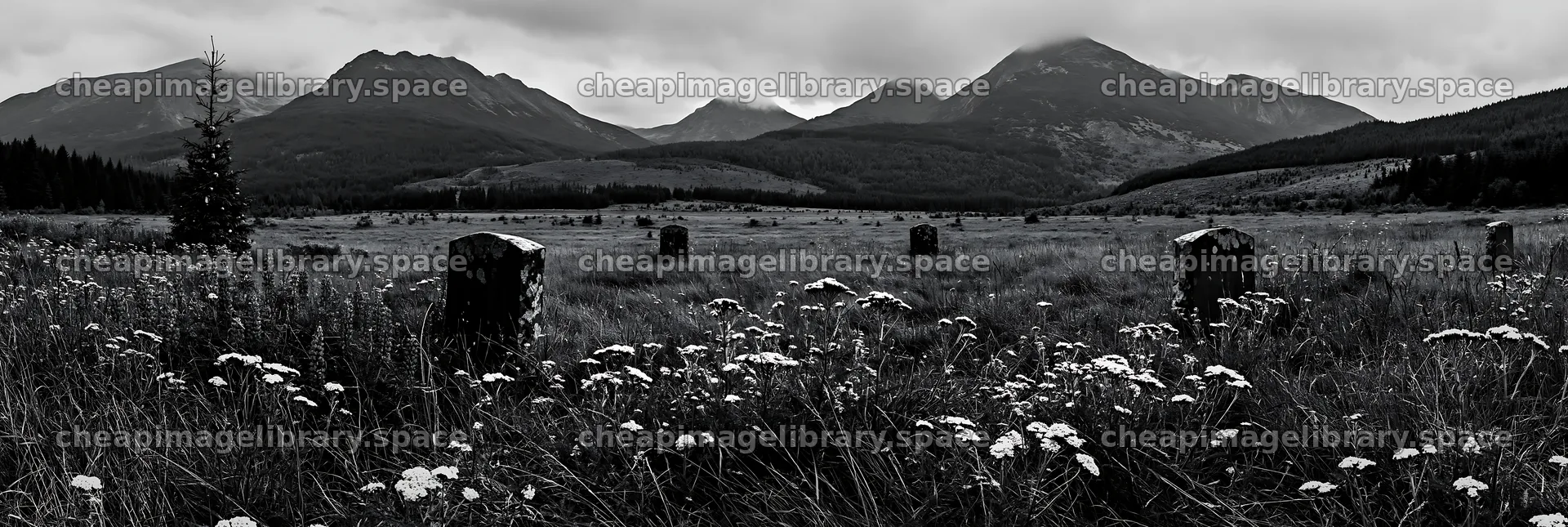 Christmas tree with baubles in mountain meadow during winter – image library 13690x4602