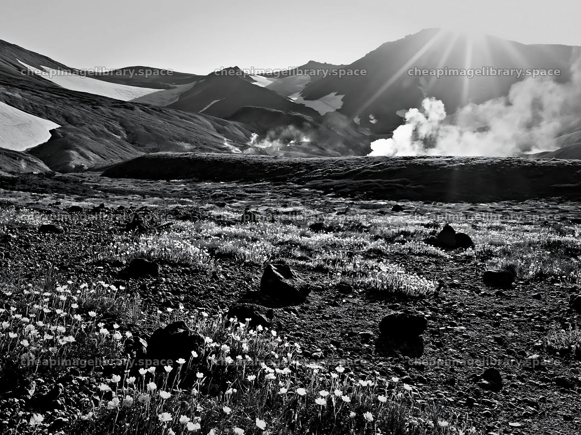Daisetsuzan alpine meadow with light rays and flowers – image library 9174x6866