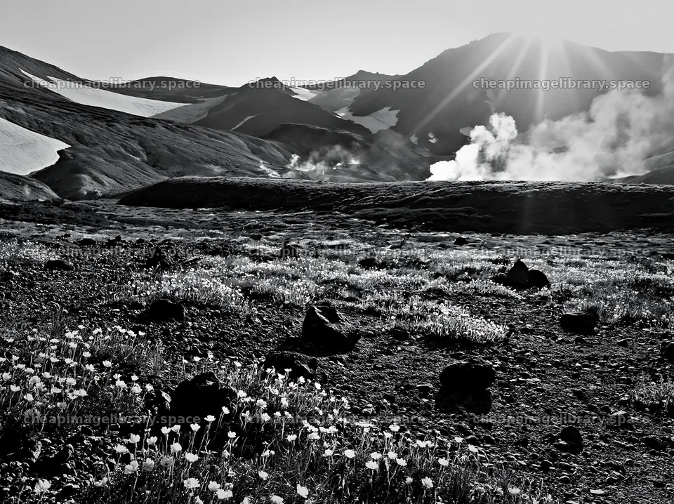 Daisetsuzan alpine meadow with light rays and flowers – image library 9174x6866