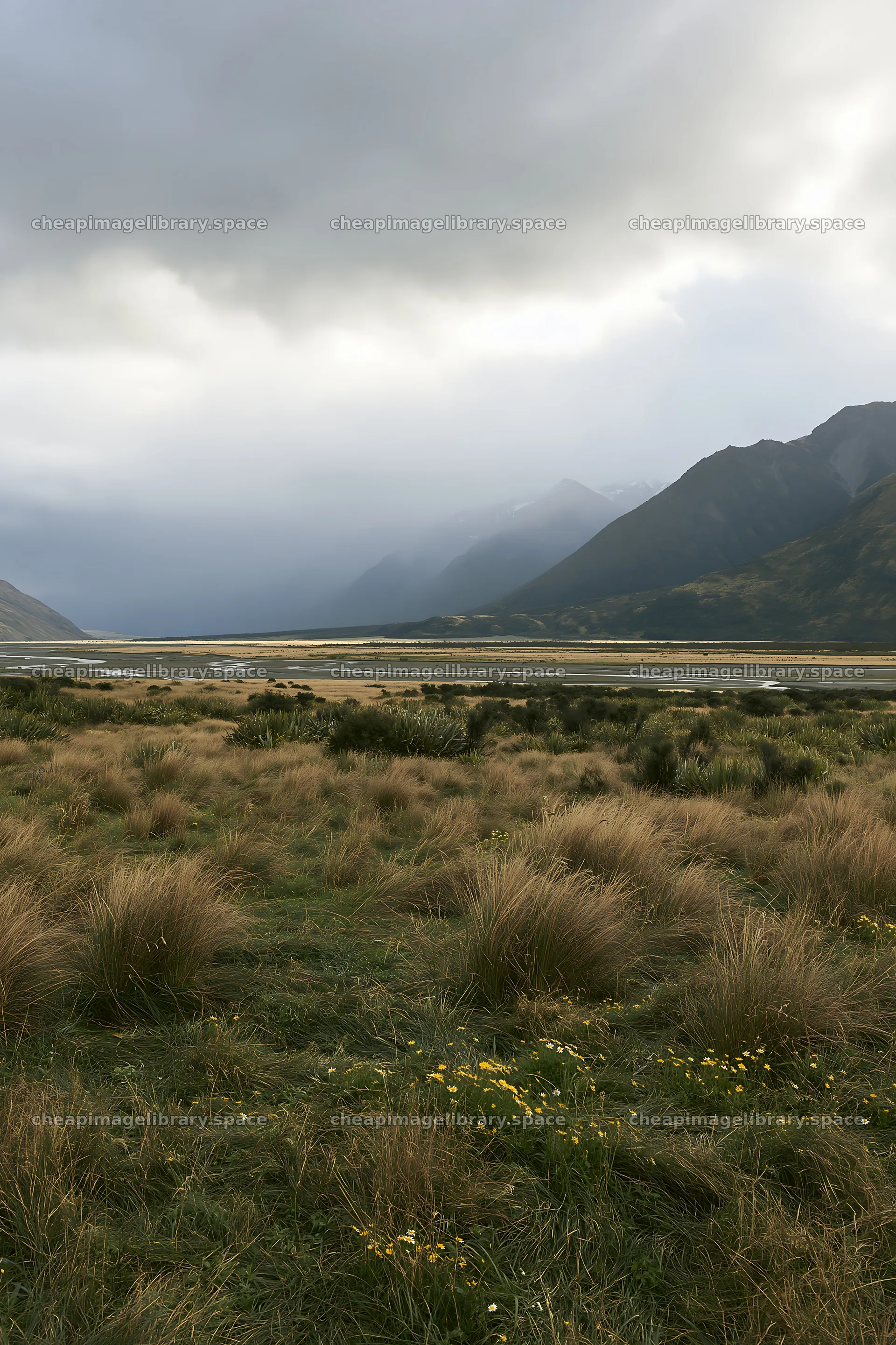 Rain soaked meadow with mountains in background – image library 6480x9722