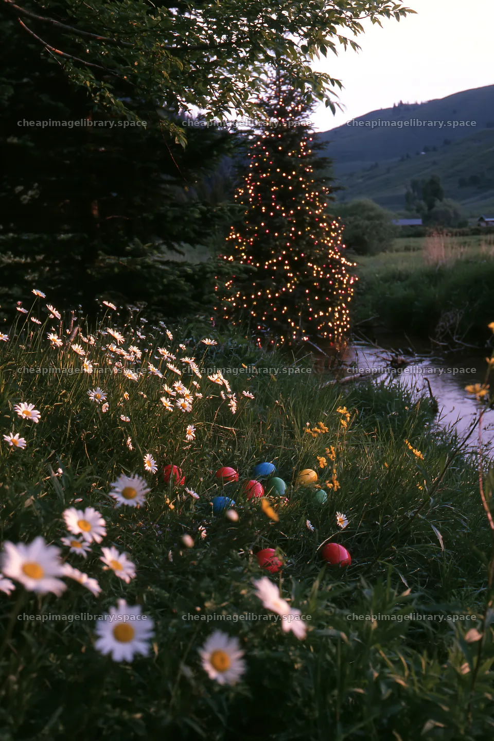 Christmas tree beside stream in meadow with decorated eggs – image library 6480x9722