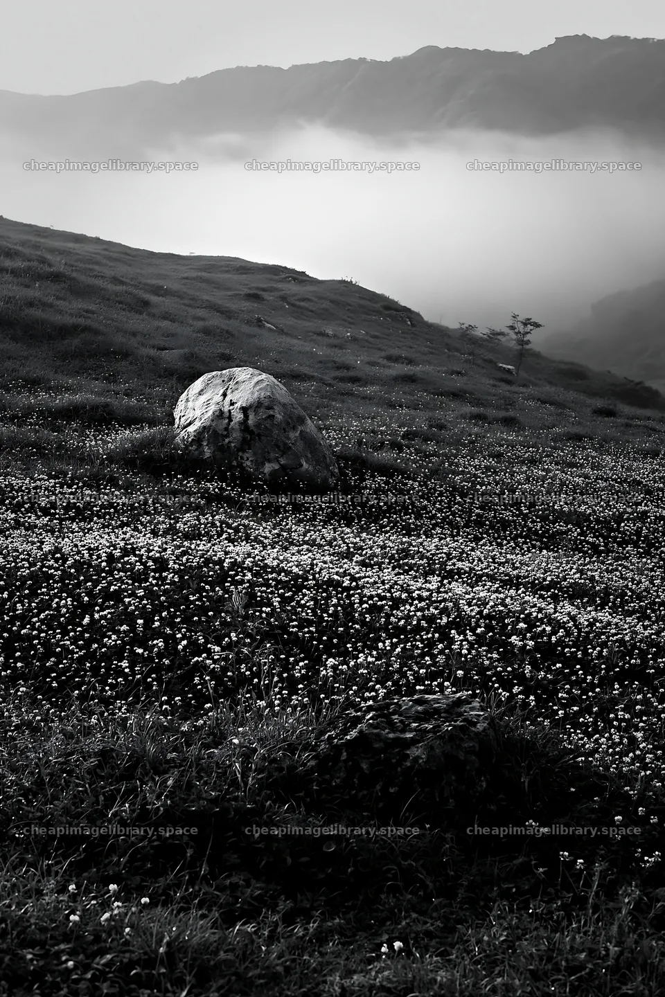 Yamaguchi limestone meadow with pale boulder under cloudy sky – image library 6480x9722