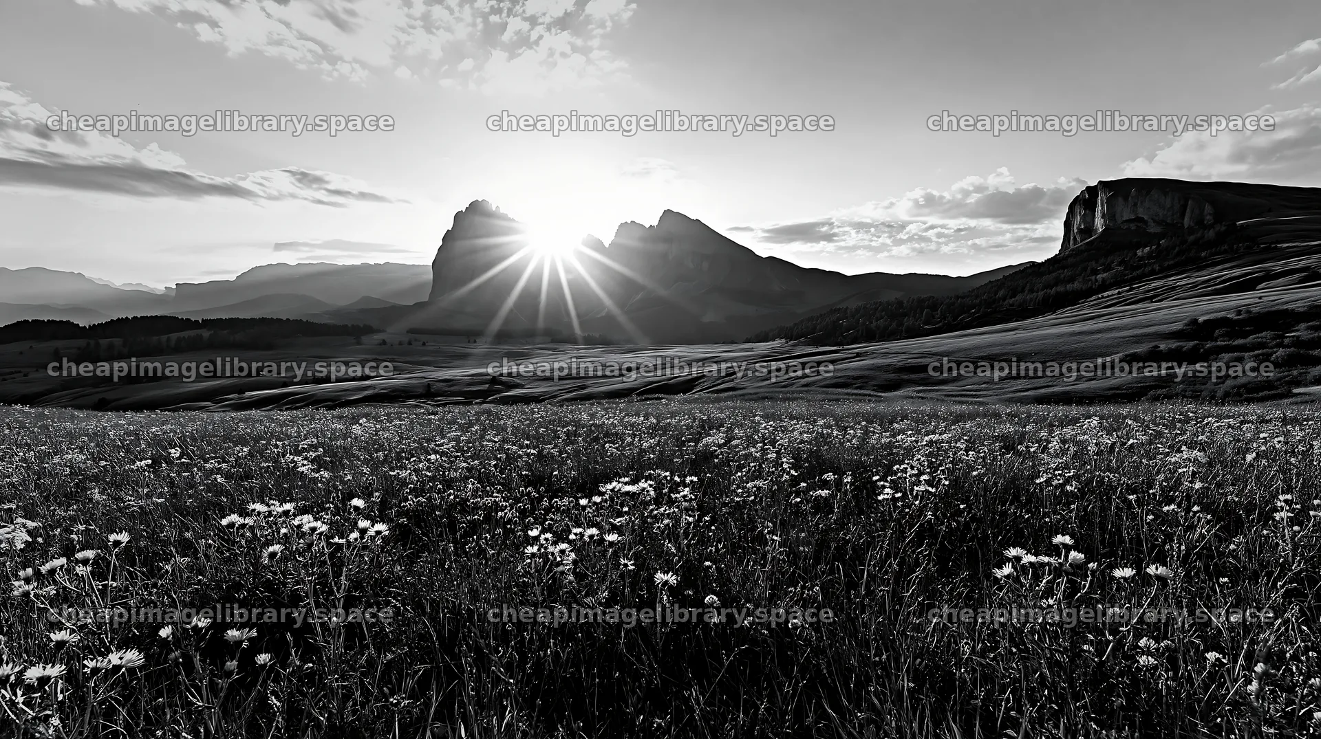 Sunbeams over Alpe di Siusi meadow and mountains – image library 10608x5938