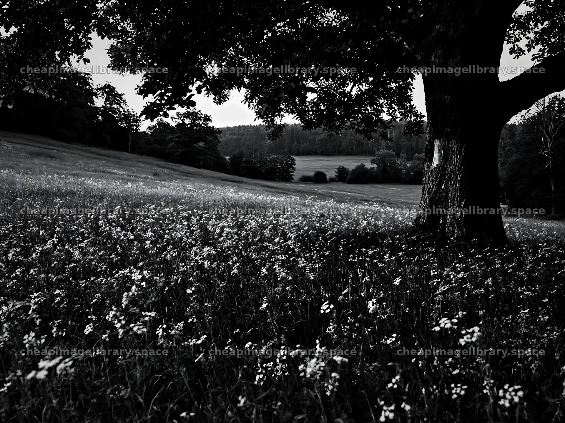 German foothill meadow with blooming flowers under a tree – image library 9174x6866