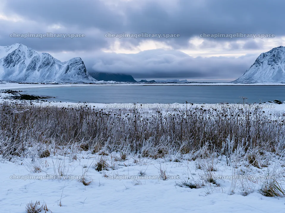 Lofoten coastal meadow covered in winter snow – image library 9174x6866