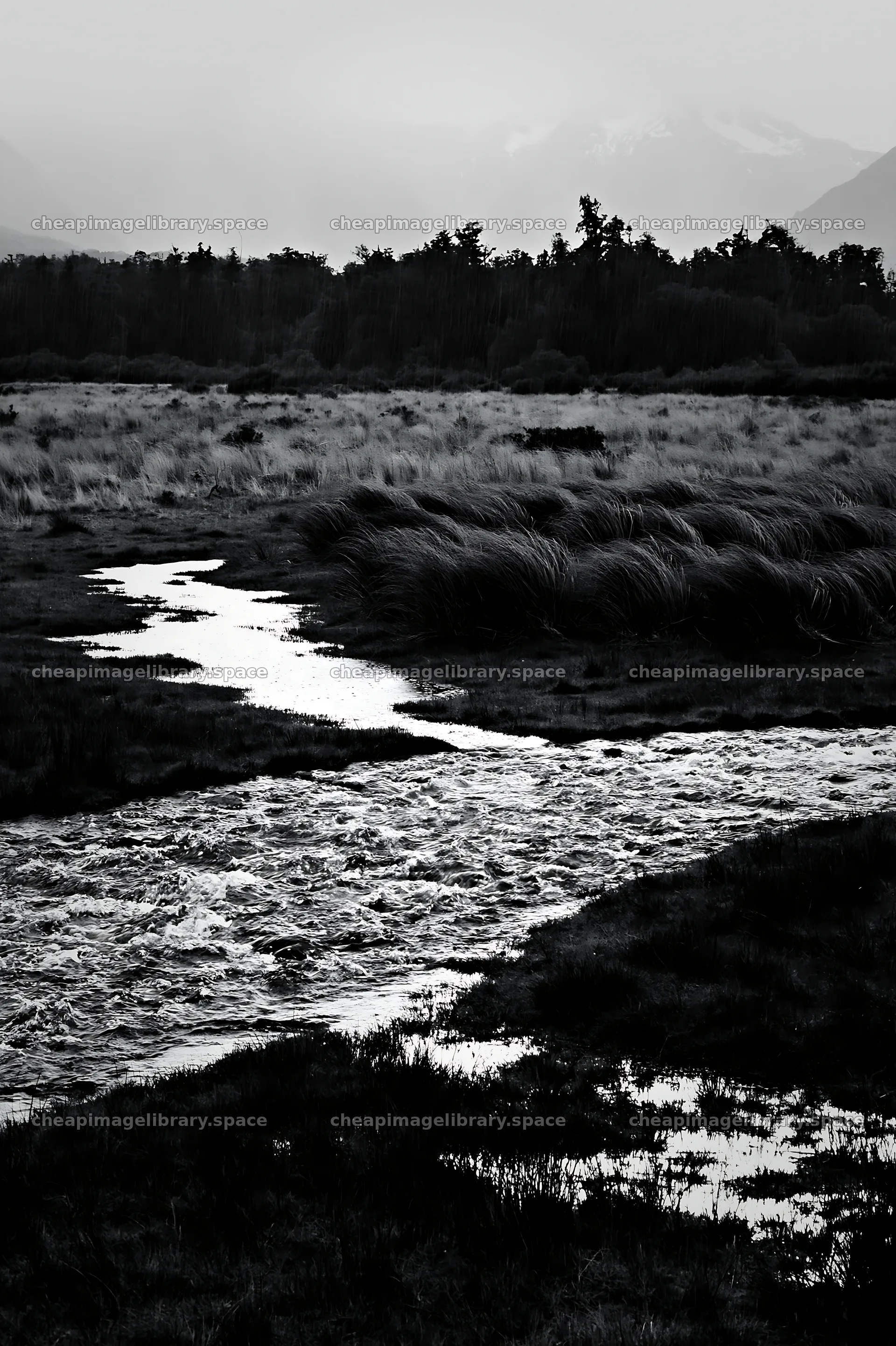 Snowmelt stream flows through a meadow in early spring – image library 6480x9722