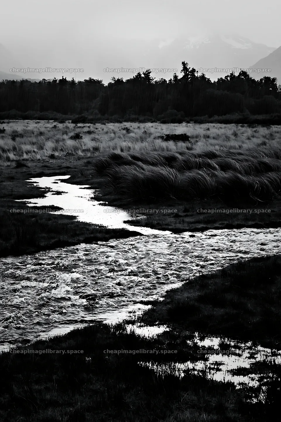 Snowmelt stream flows through a meadow in early spring – image library 6480x9722