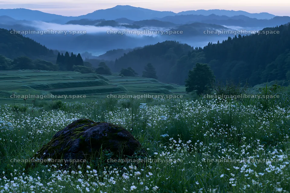 Miyagi spring recovery meadow mossy stone view in mountain field – image library 9722x6480
