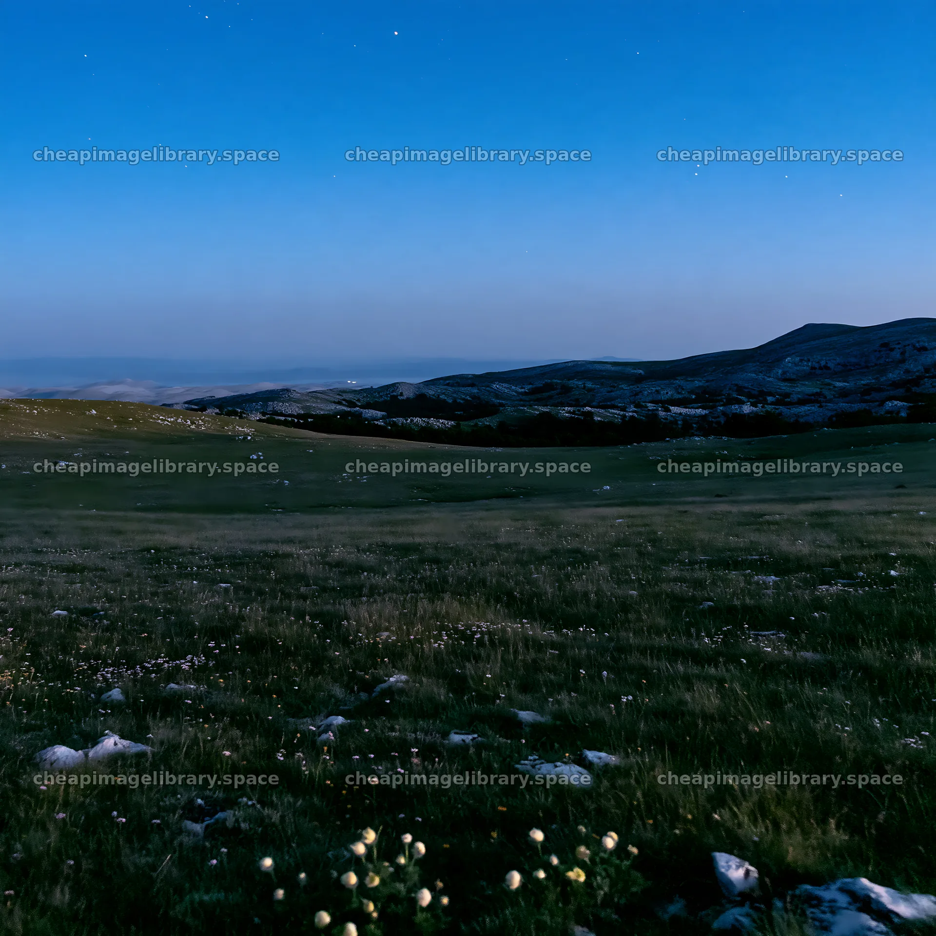 Starlit meadow with mountains under blue night sky – image library 7938x7938