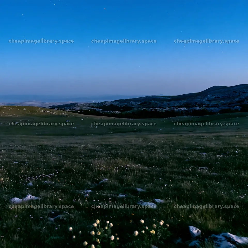 Starlit meadow with mountains under blue night sky – image library 7938x7938