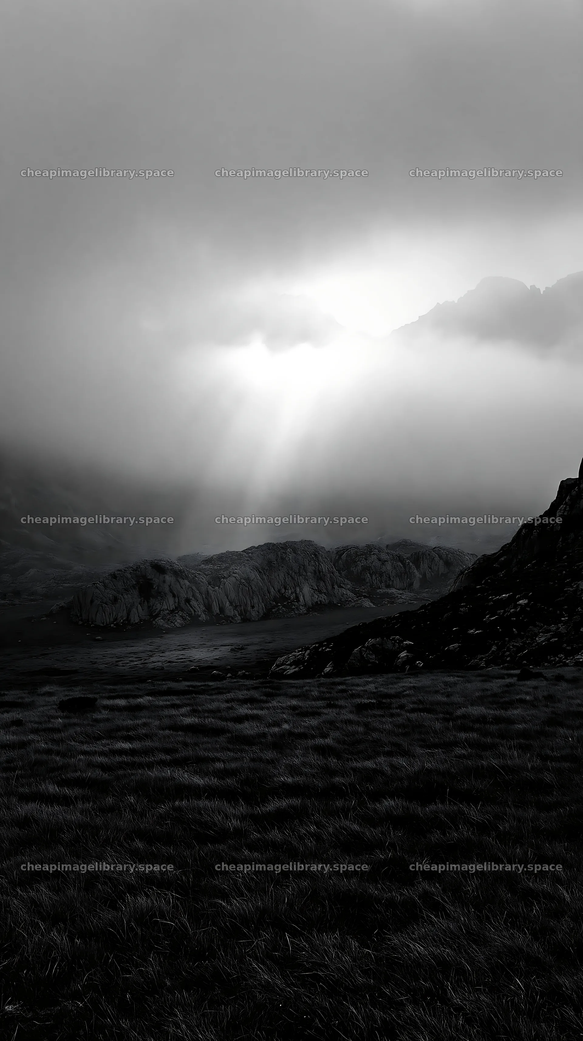 Sunlight breaks through clouds over Picos de Europa meadow – image library 5938x10608