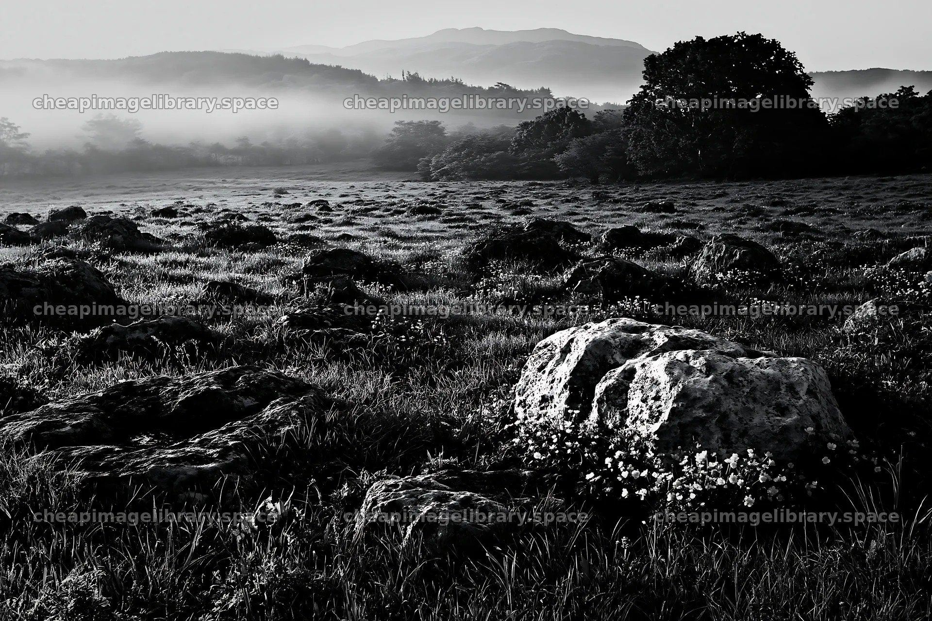 Yamaguchi limestone meadow with pale boulder in the morning light – image library 9722x6480